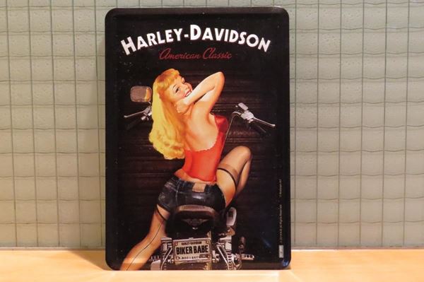 Picture of Harley Davidson man cave bordje #5