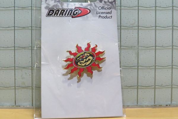 Picture of Valentino Rossi pin Sun