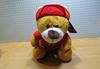 Picture of Ferrari teddy beer red GB031